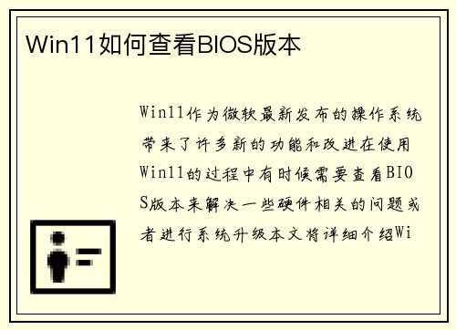 Win11如何查看BIOS版本